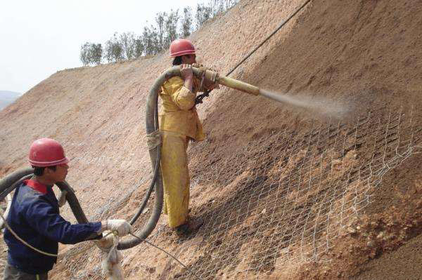 鶴壁邊坡綠化施工 邊坡綠化施工